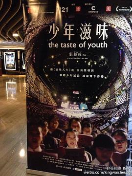 少年滋味封面图